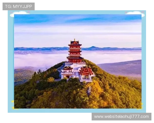 揭秘老虎机快速致富的秘诀，让你轻松赢取丰厚奖金